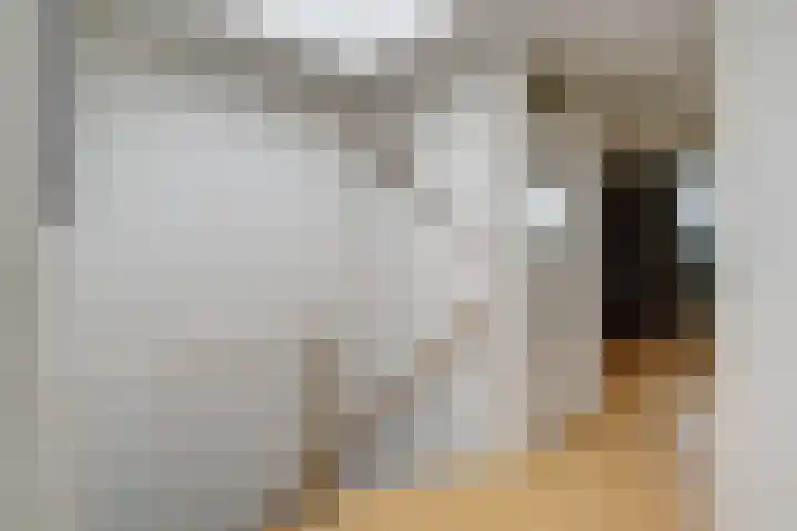 Chabotlaan 10 Nieuwegein thumbnail 26
