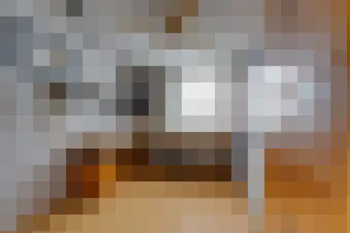 Chabotlaan 10 Nieuwegein thumbnail 31