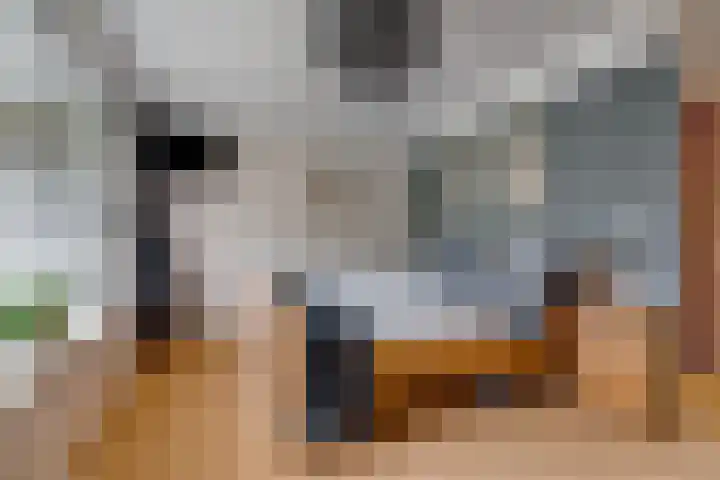 Chabotlaan 10 Nieuwegein thumbnail 39