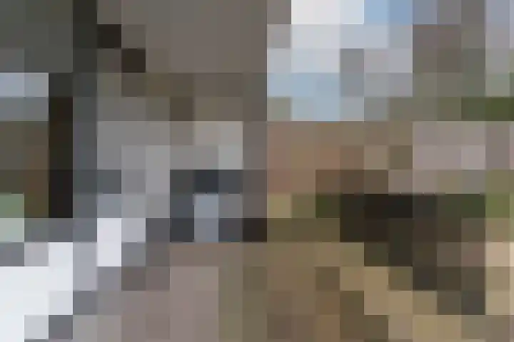 Chabotlaan 10 Nieuwegein thumbnail 44