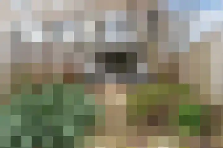 Chabotlaan 10 Nieuwegein thumbnail 46