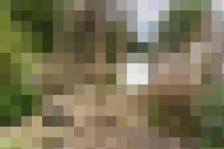 Chabotlaan 10 Nieuwegein thumbnail 48