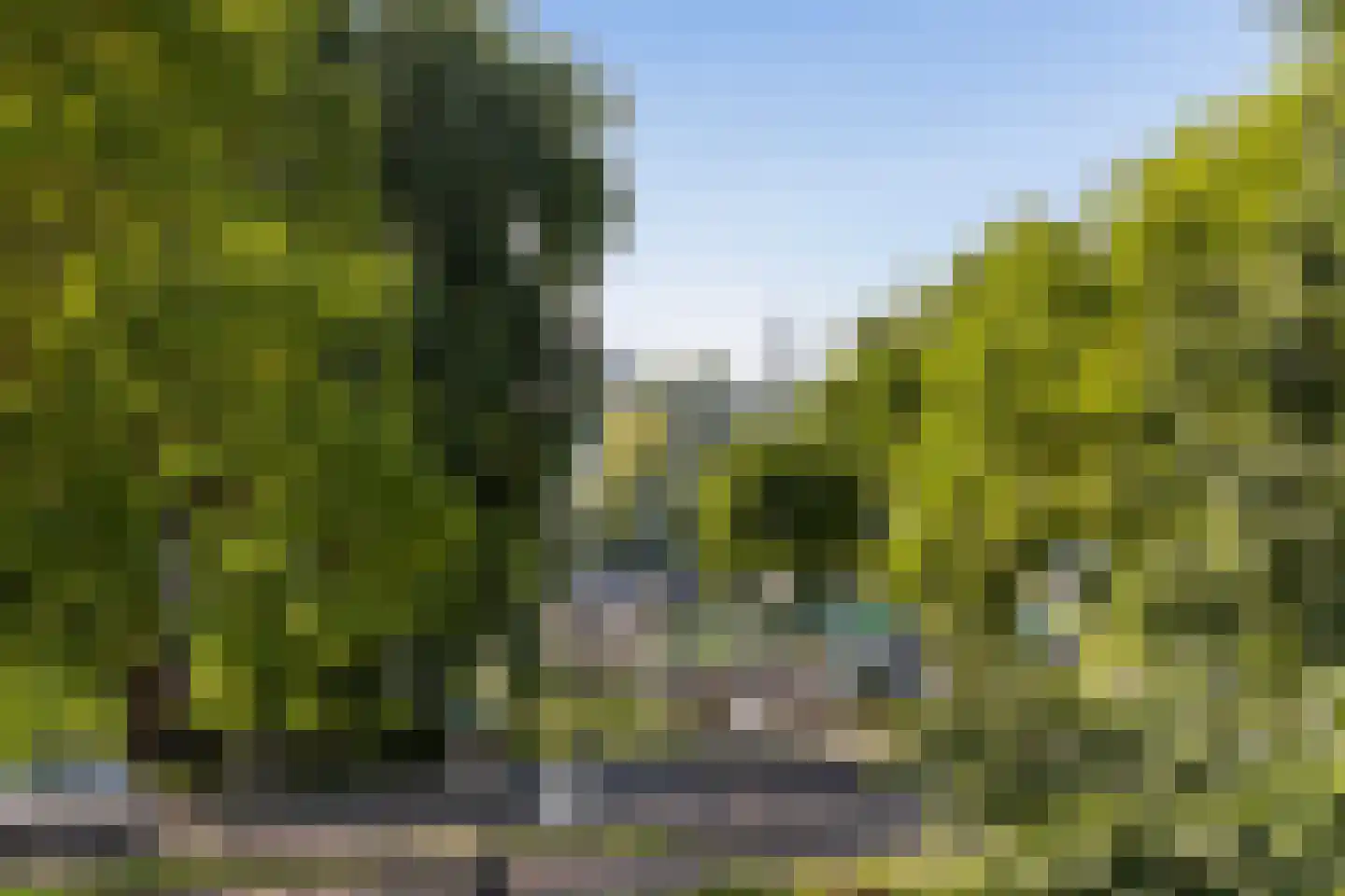 Chabotlaan 159 Rotterdam thumbnail 12