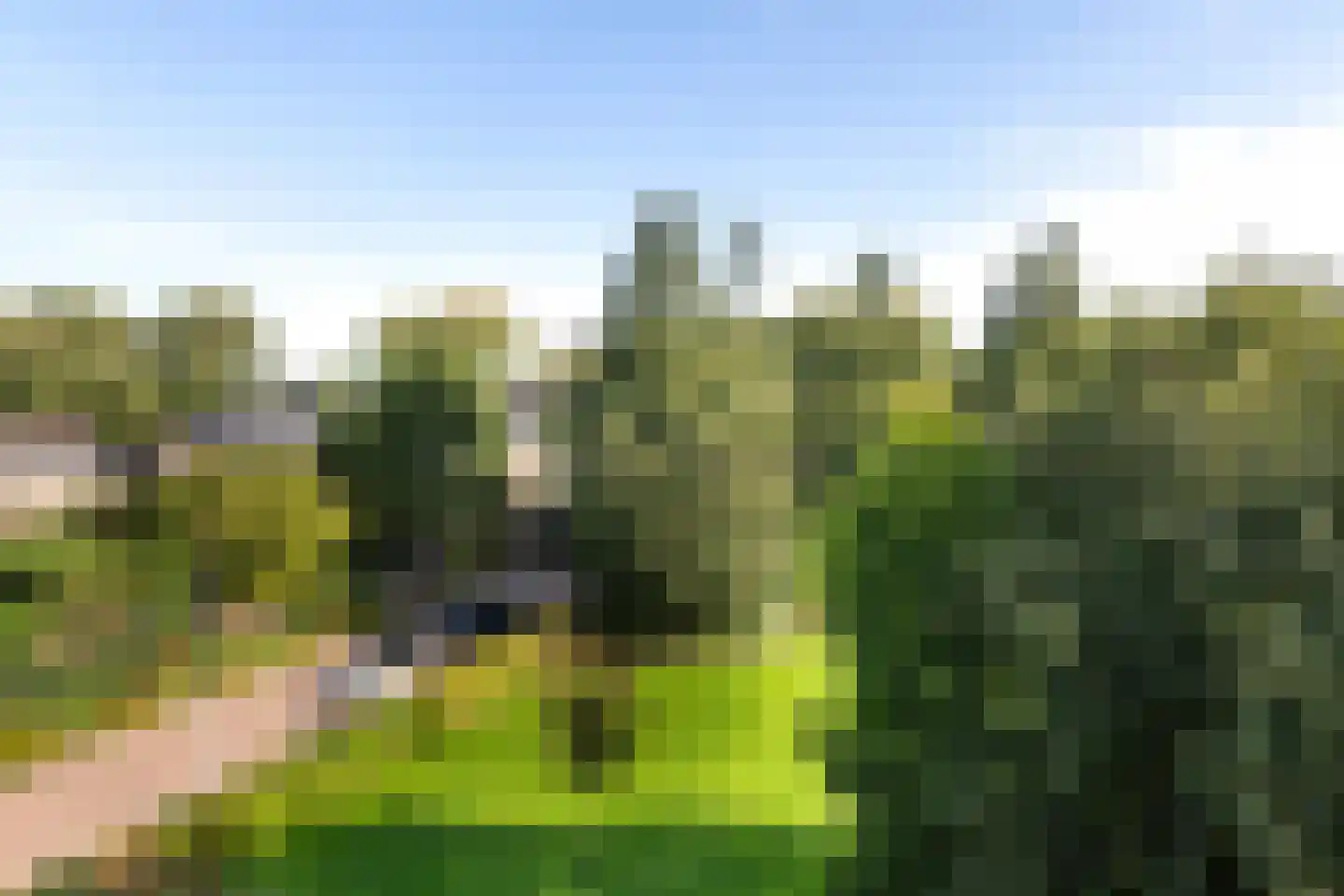 Chabotlaan 159 Rotterdam thumbnail 17