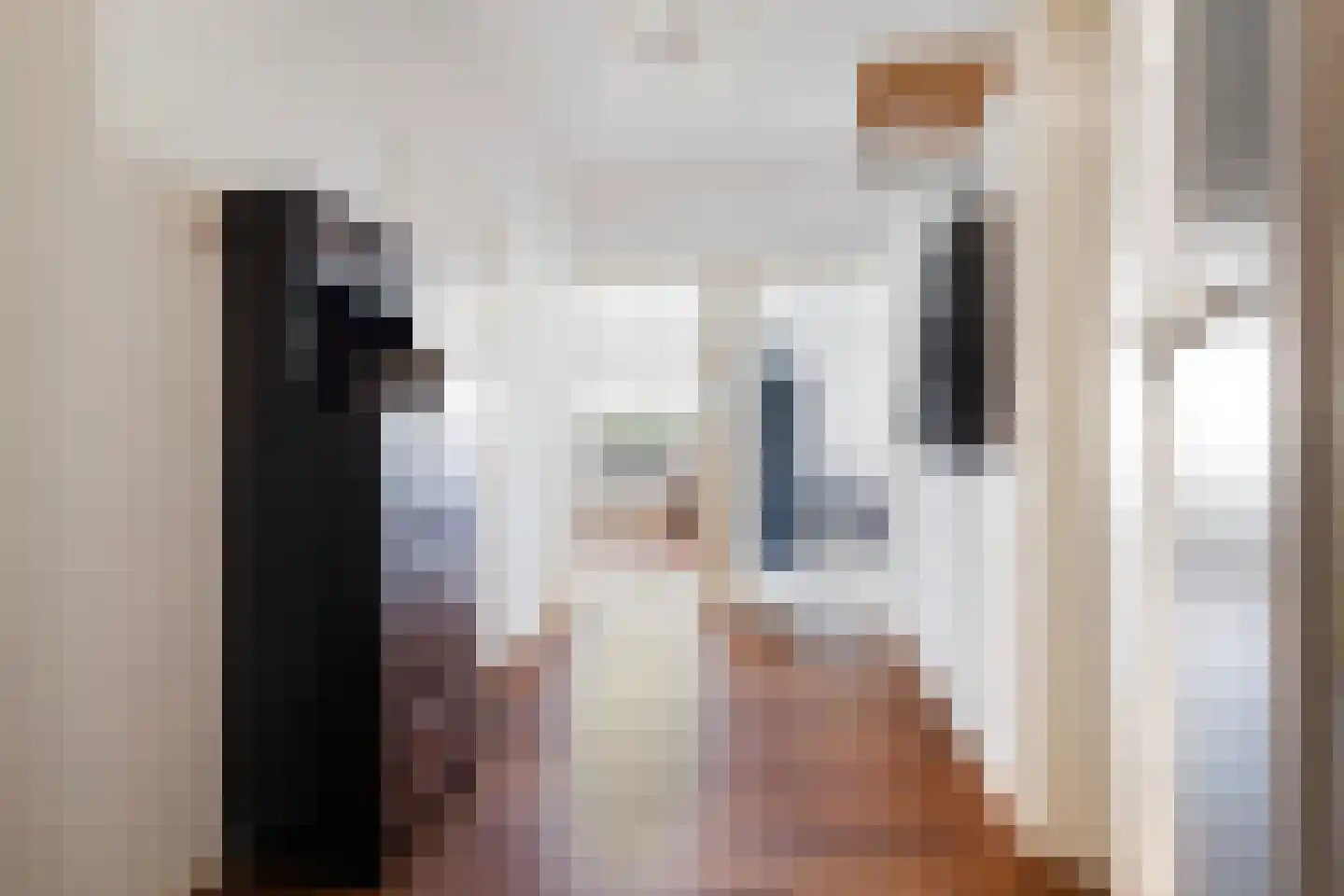 Chabotlaan 159 Rotterdam thumbnail 5