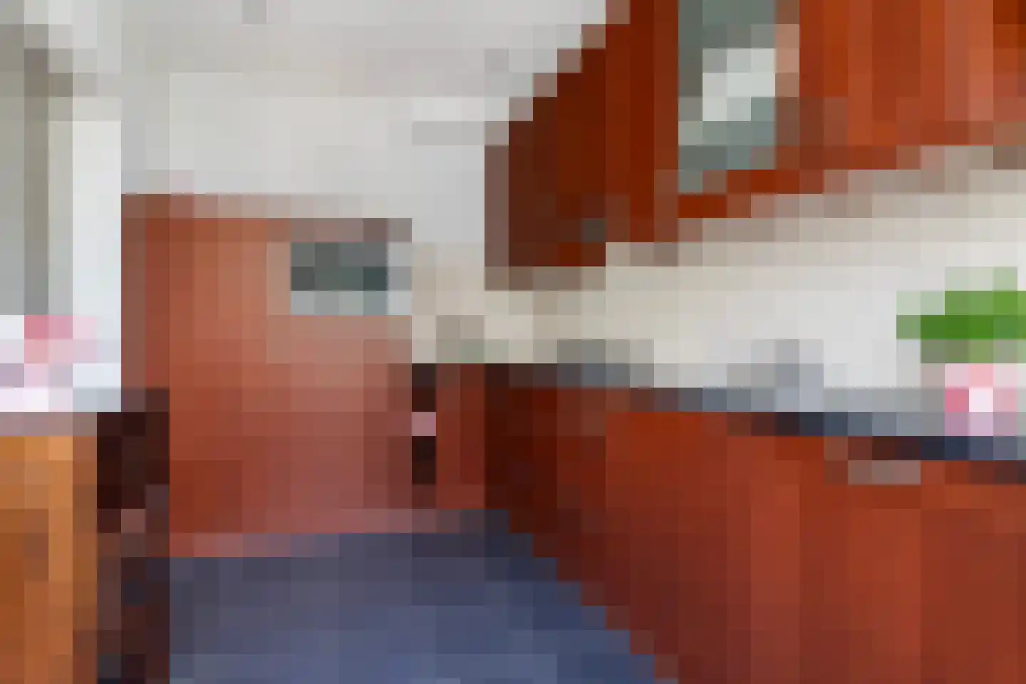 Chabotlaan 159 Rotterdam thumbnail 9