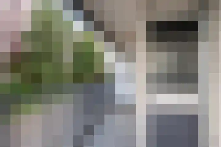 Chabotlaan 161 Rotterdam thumbnail 10