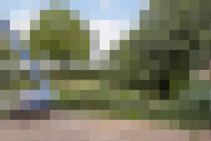 Chabotlaan 161 Rotterdam thumbnail 11