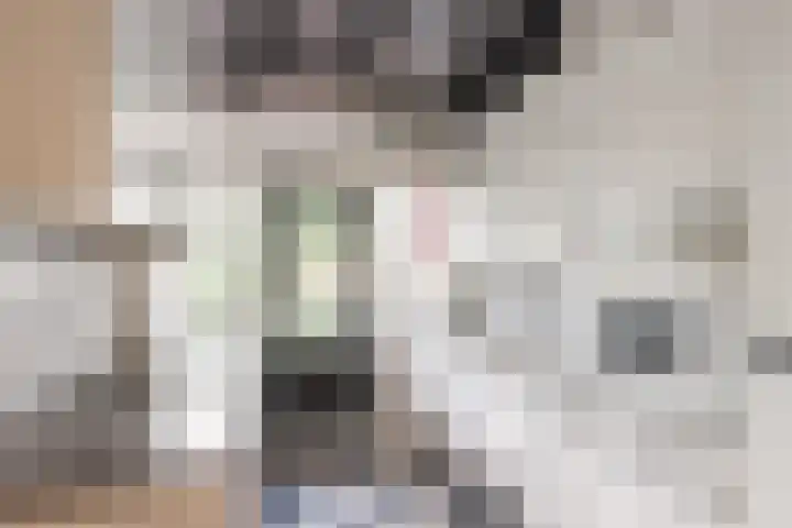 Chabotlaan 161 Rotterdam thumbnail 12