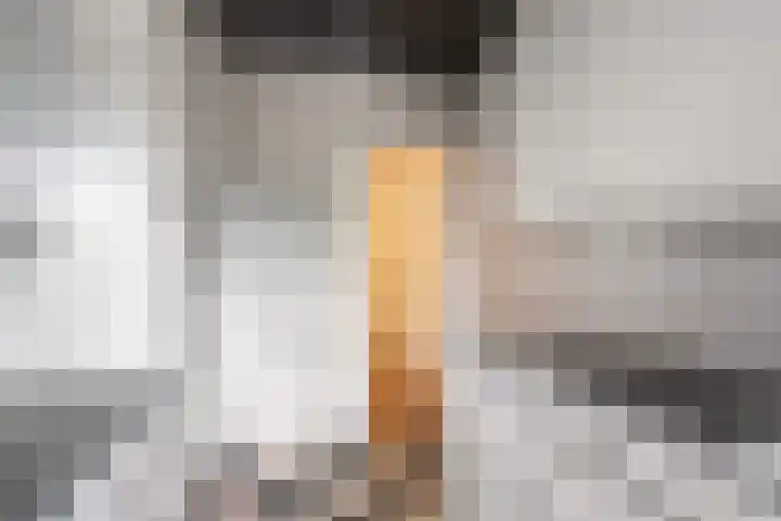 Chabotlaan 161 Rotterdam thumbnail 14