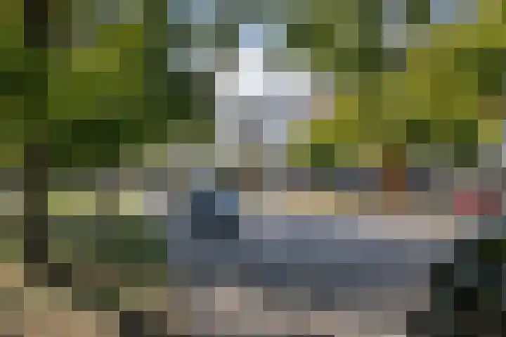 Chabotlaan 161 Rotterdam thumbnail 32