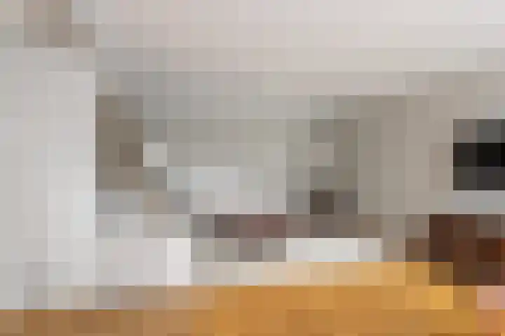 Chabotlaan 161 Rotterdam thumbnail 6