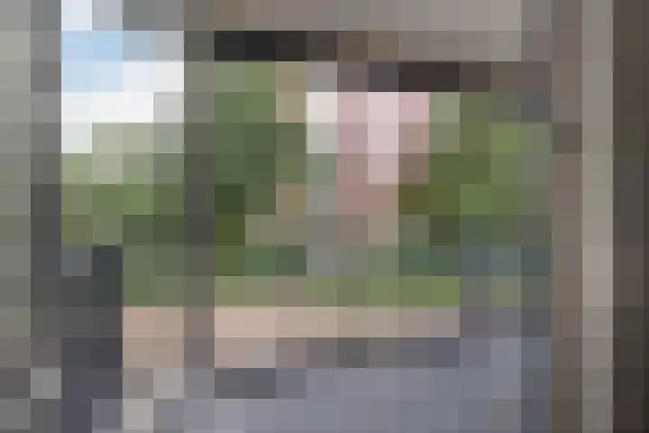 Chabotlaan 161 Rotterdam thumbnail 8