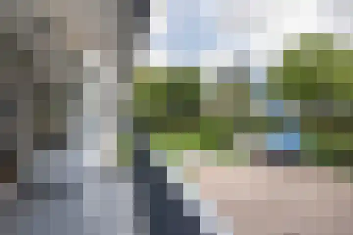 Chabotlaan 161 Rotterdam thumbnail 9