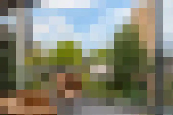 Chabotlaan 165 Rotterdam thumbnail 9