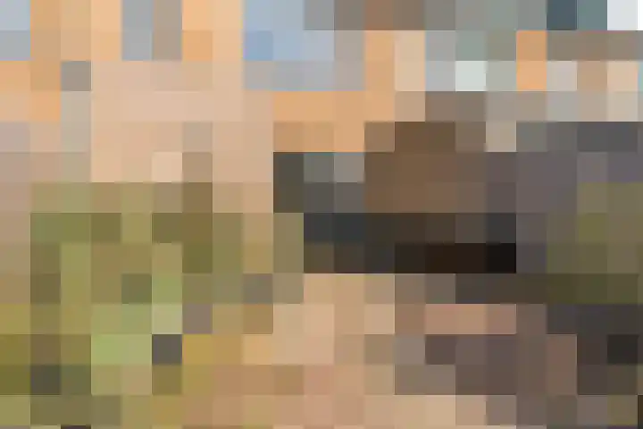 Chabotlaan 17 Nieuwegein thumbnail 22