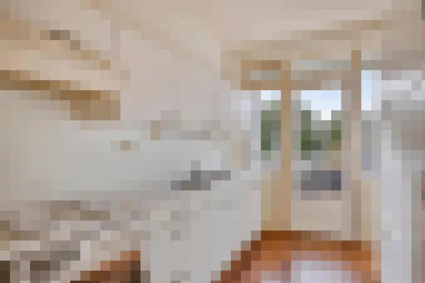 Chabotlaan 217 Rotterdam thumbnail 15