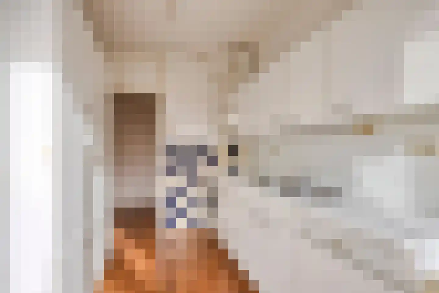 Chabotlaan 217 Rotterdam thumbnail 16