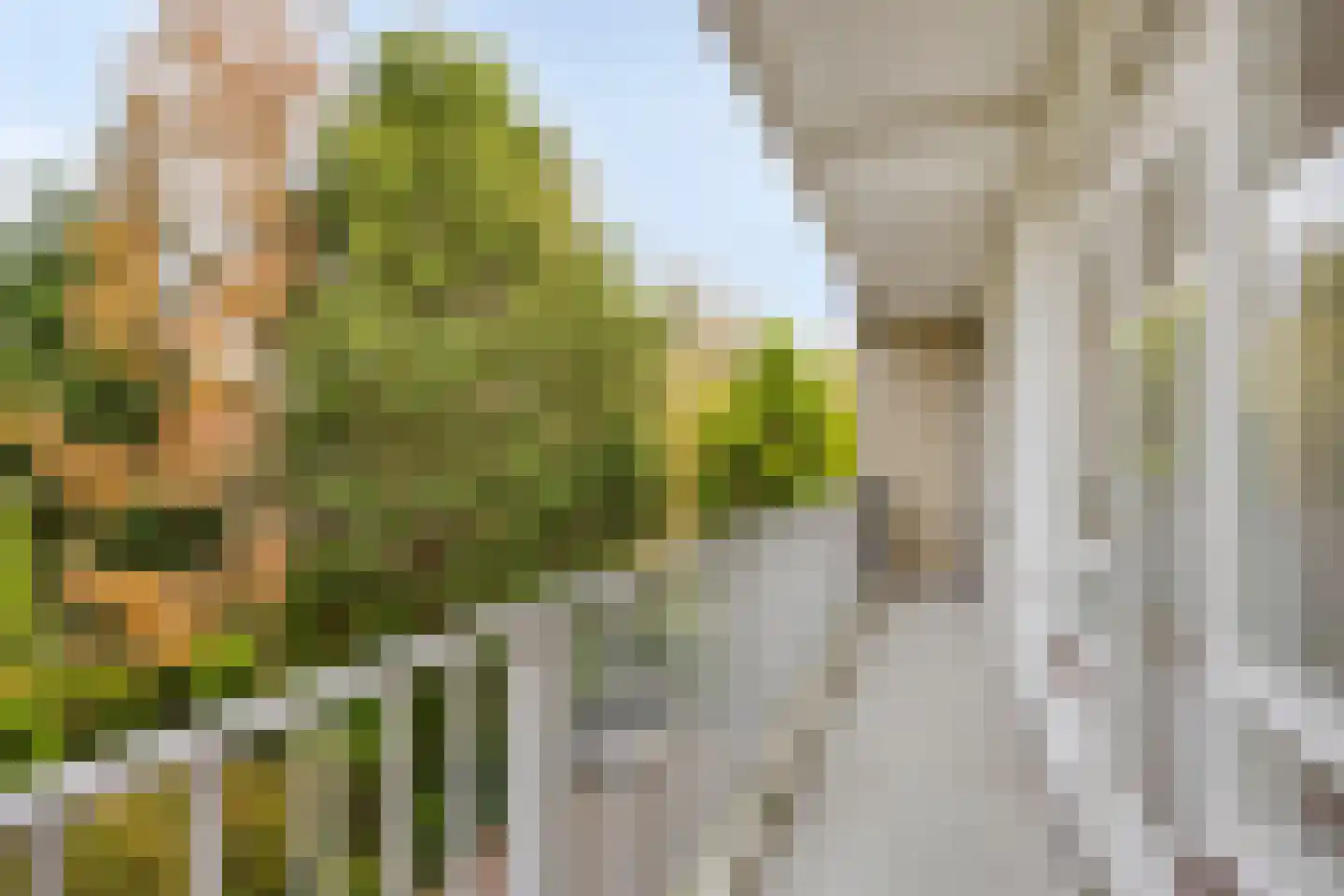 Chabotlaan 217 Rotterdam thumbnail 19