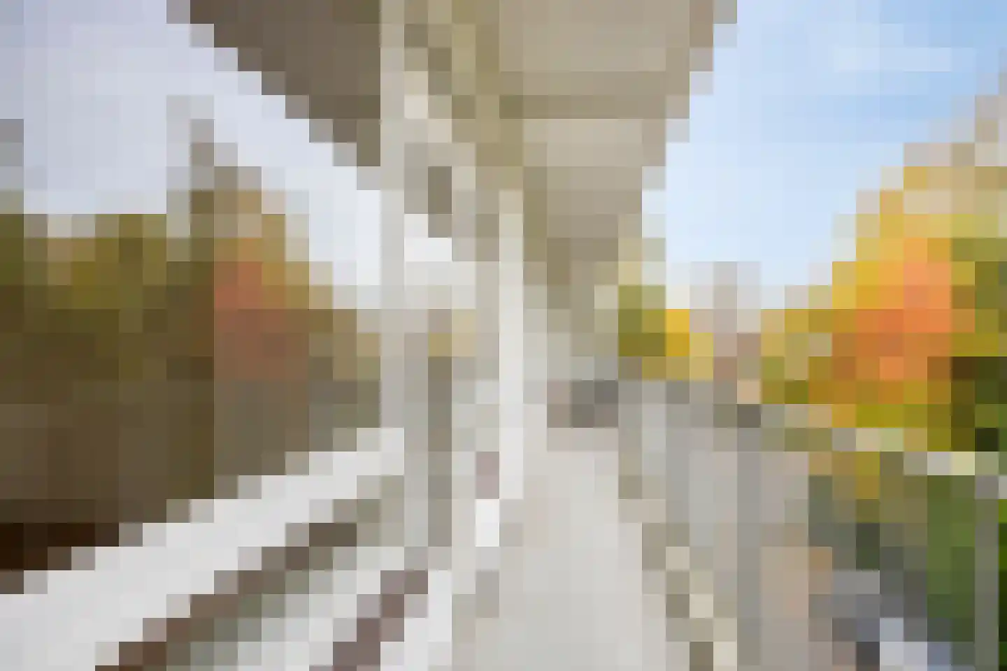 Chabotlaan 217 Rotterdam thumbnail 20