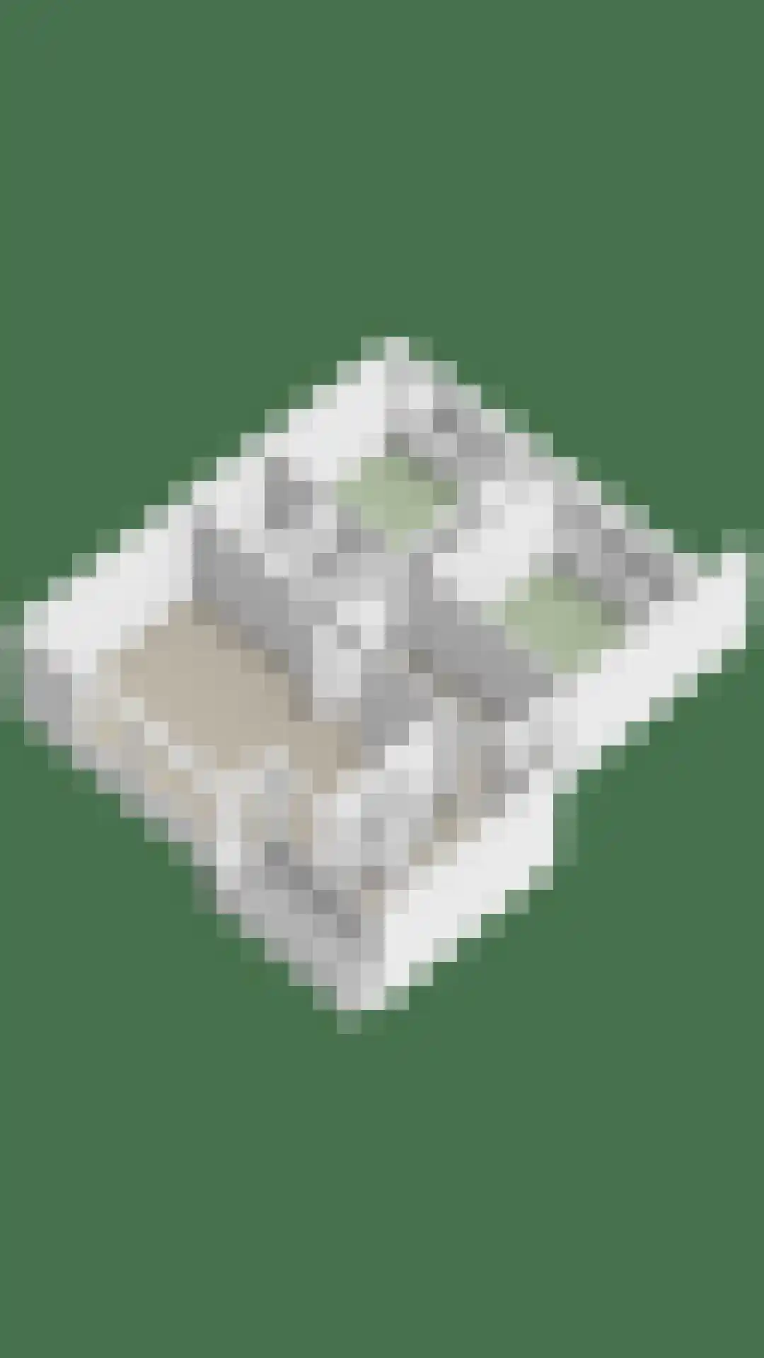 Chabotlaan 217 Rotterdam thumbnail 30