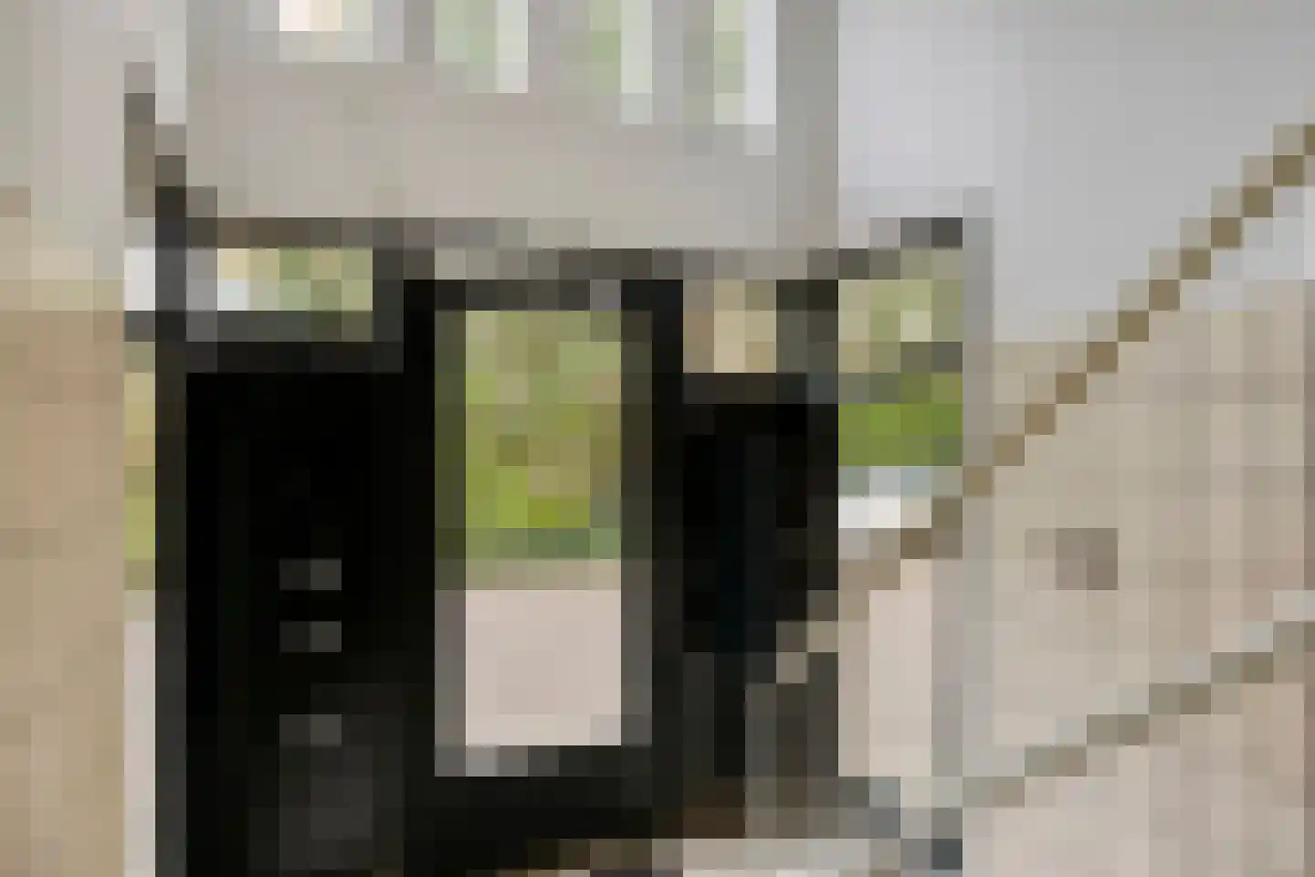 Chabotlaan 217 Rotterdam thumbnail 6
