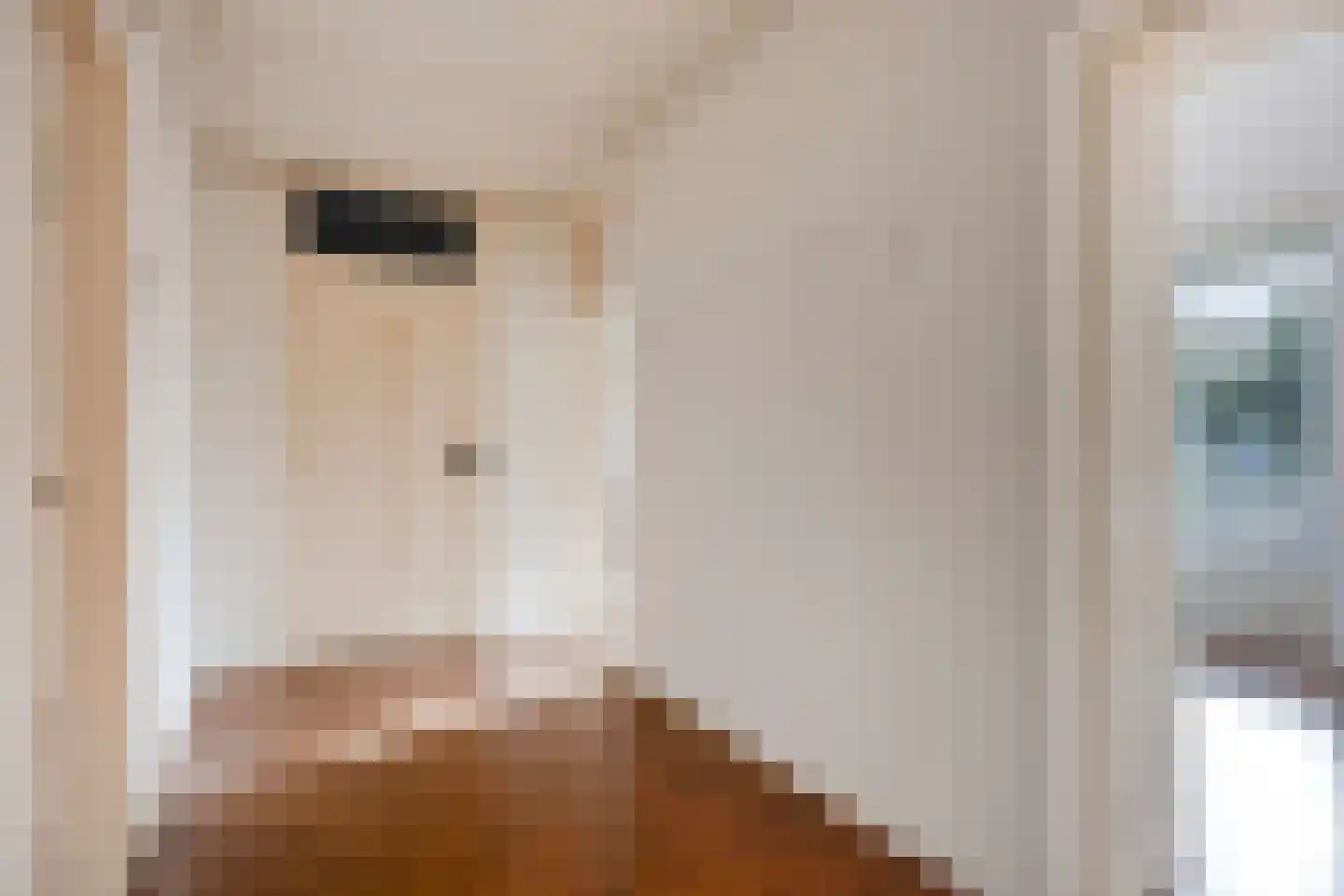 Chabotlaan 217 Rotterdam thumbnail 7