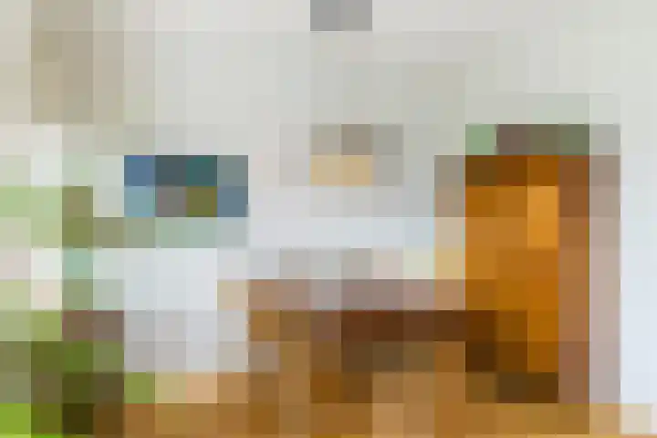 Chabotlaan 253 Rotterdam thumbnail 11