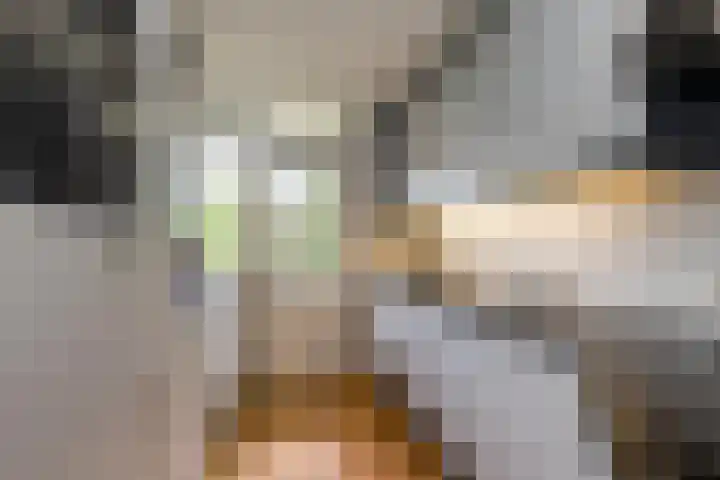 Chabotlaan 253 Rotterdam thumbnail 14