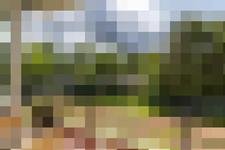 Chabotlaan 253 Rotterdam thumbnail 16