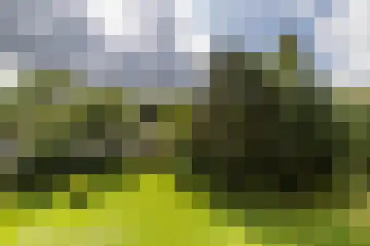 Chabotlaan 253 Rotterdam thumbnail 19