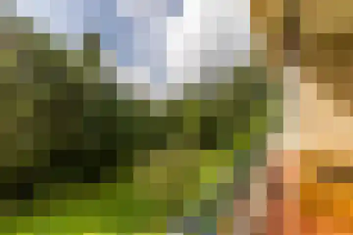 Chabotlaan 253 Rotterdam thumbnail 20