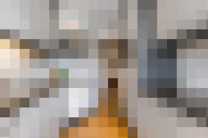 Chabotlaan 253 Rotterdam thumbnail 21
