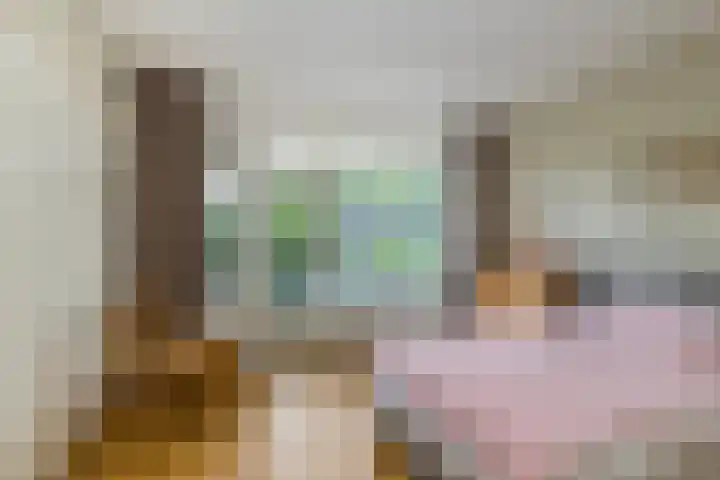Chabotlaan 253 Rotterdam thumbnail 23