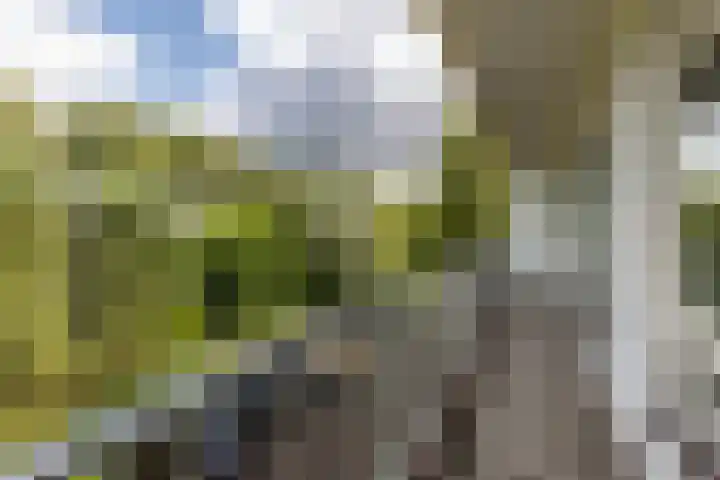 Chabotlaan 253 Rotterdam thumbnail 25