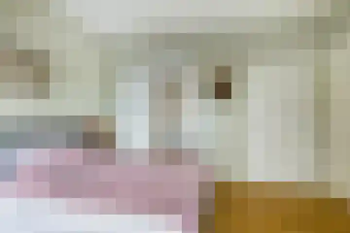 Chabotlaan 253 Rotterdam thumbnail 26