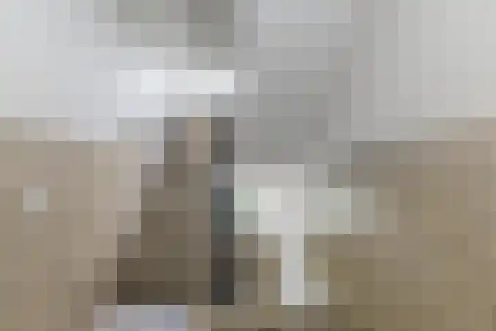 Chabotlaan 253 Rotterdam thumbnail 32