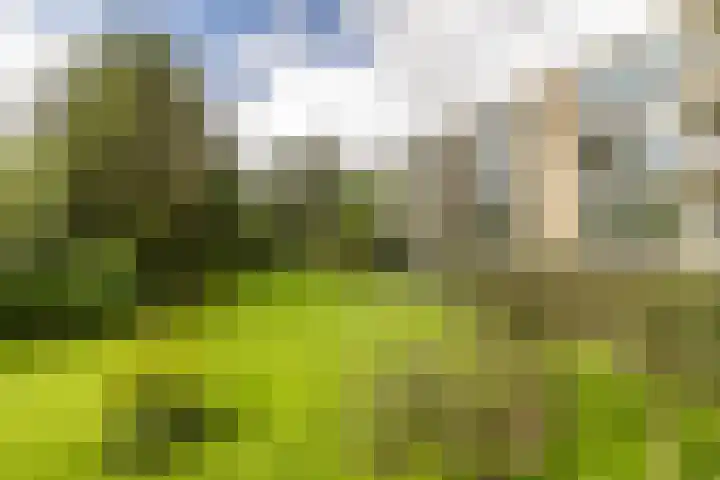 Chabotlaan 253 Rotterdam thumbnail 36