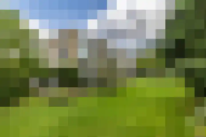 Chabotlaan 253 Rotterdam thumbnail 4