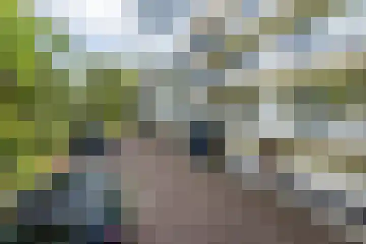 Chabotlaan 253 Rotterdam thumbnail 5