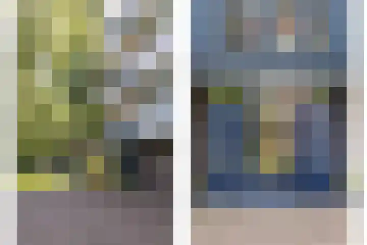 Chabotlaan 253 Rotterdam thumbnail 6