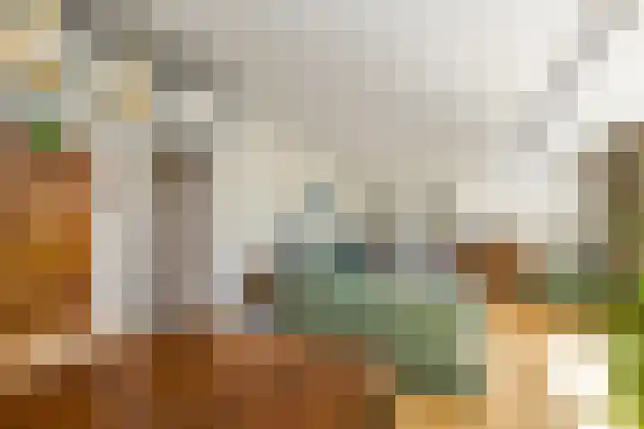 Chabotlaan 253 Rotterdam thumbnail 9