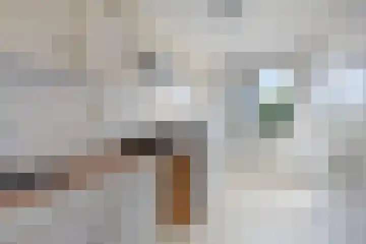 Chabotlaan 35 Nieuwegein thumbnail 23