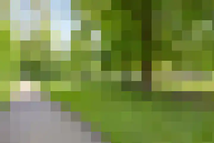 Chabotlaan 35 Nieuwegein thumbnail 43