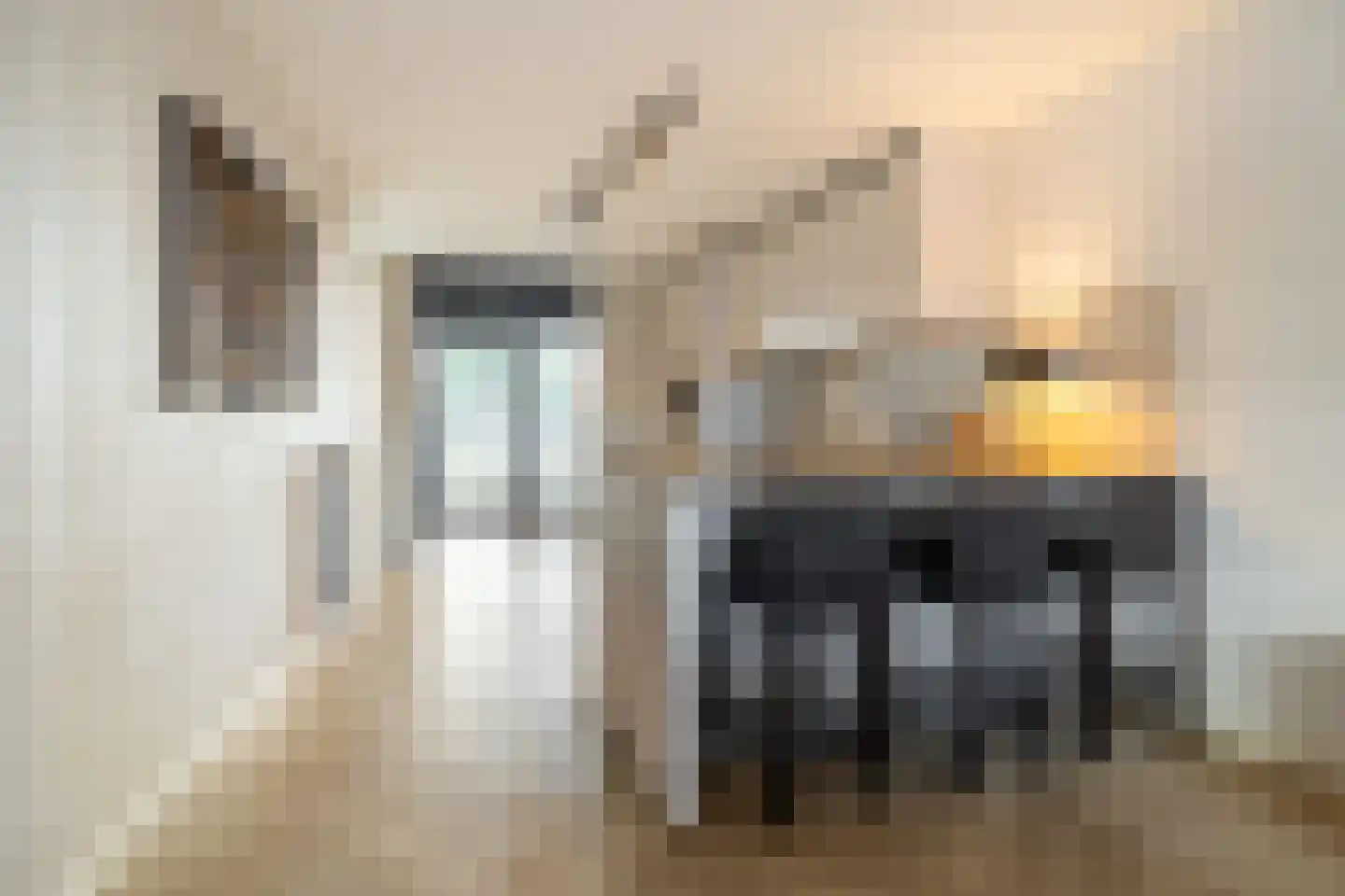Chabotstraat 6 Breda thumbnail 20