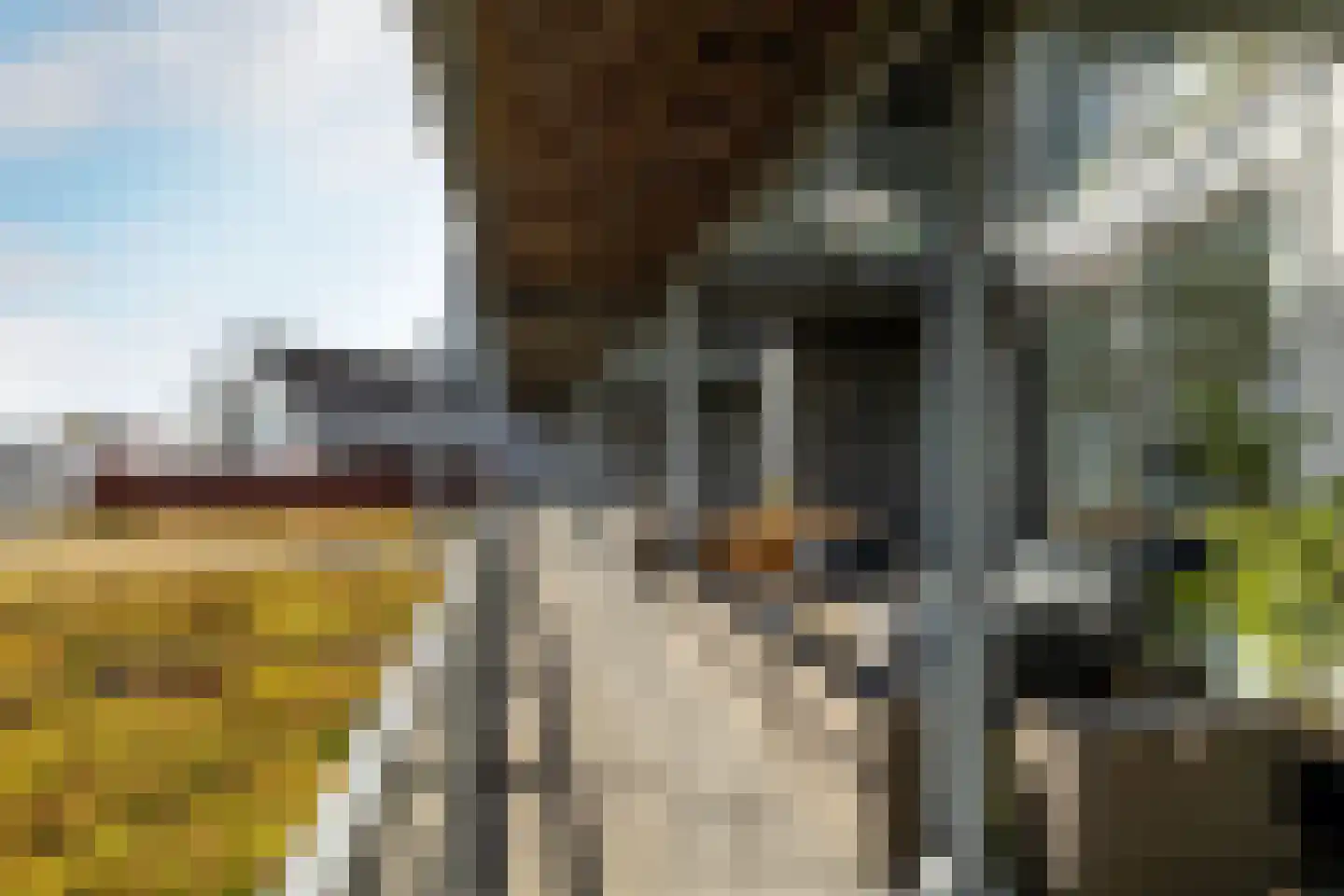 Chabotstraat 6 Breda thumbnail 5