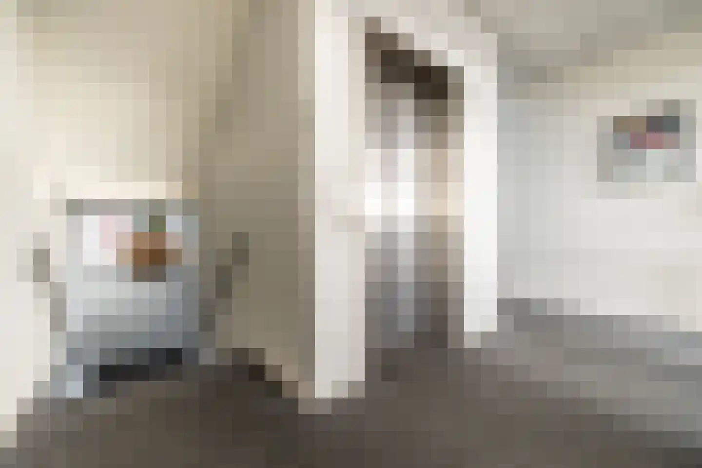 Chabotstraat 6 Breda thumbnail 9