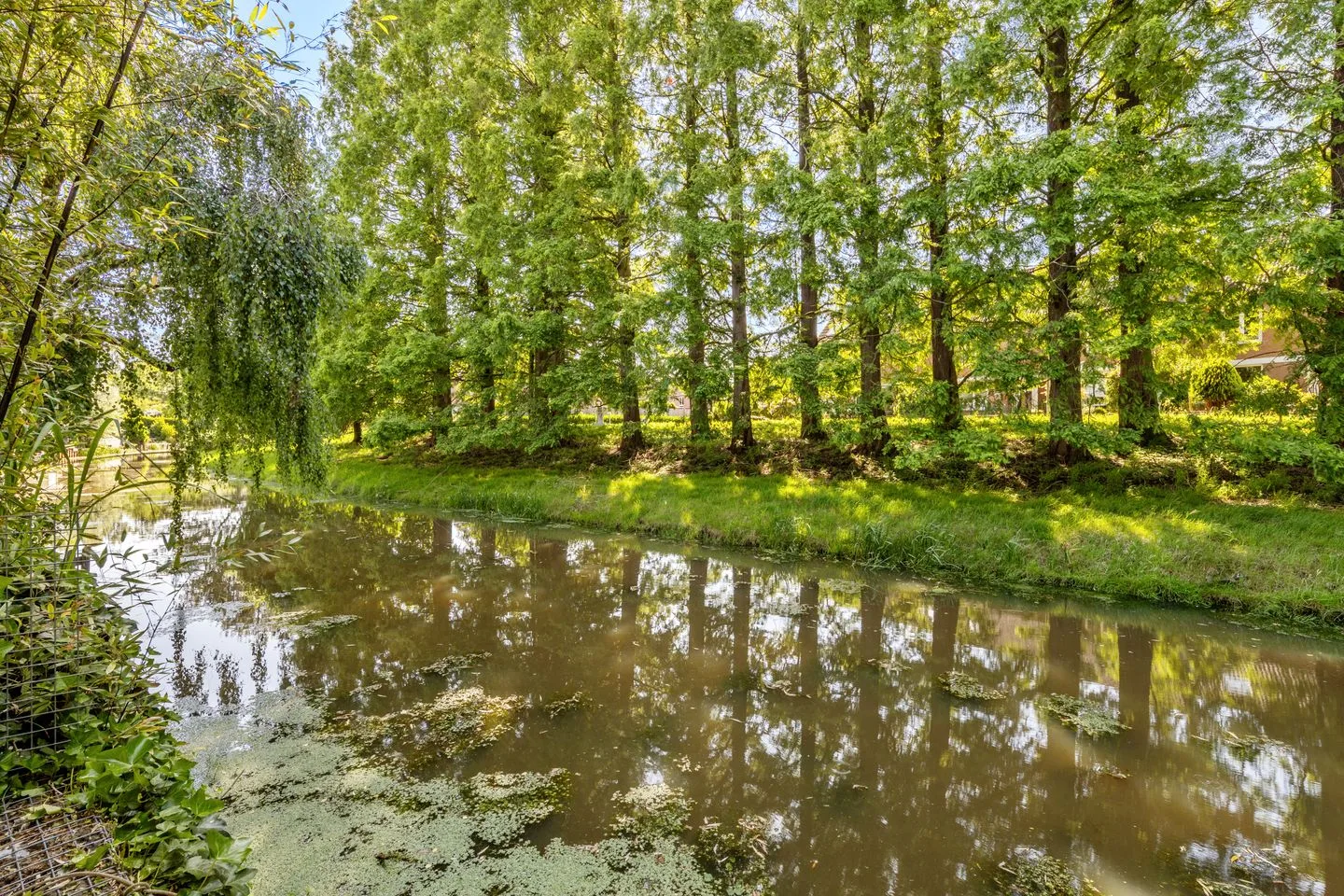 Chaletberg 48 Roosendaal thumbnail 54