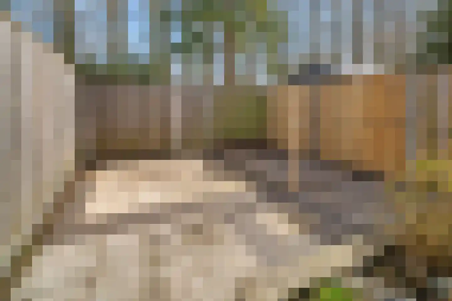 Chaletberg 88 Roosendaal thumbnail 34
