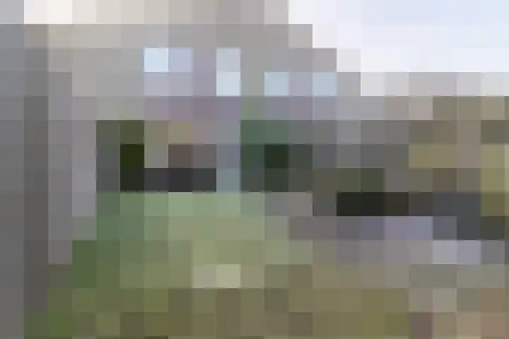 Chalonhof 14 Soest thumbnail 16